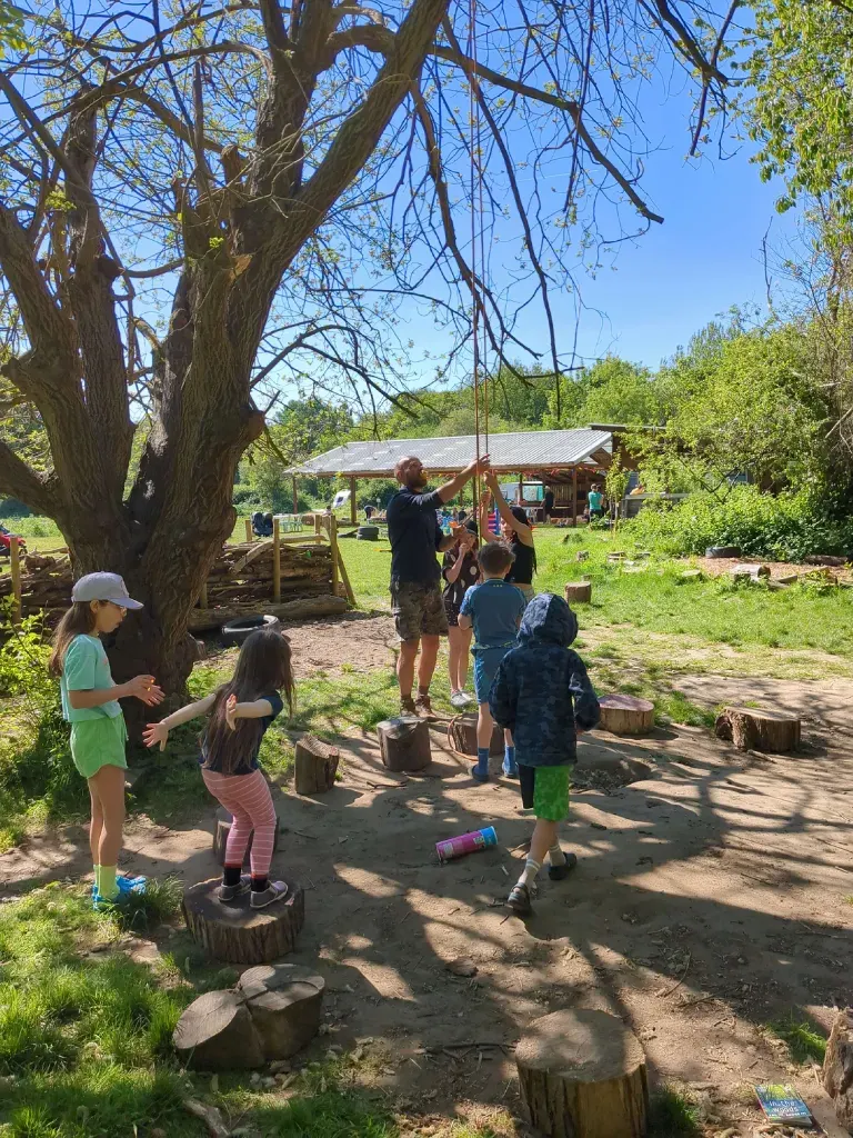 Children helping to set up a rope swing on a tree branch